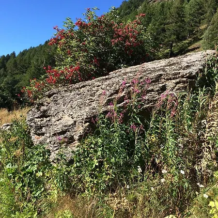 Sunstar Διαμέρισμα Saas-Grund