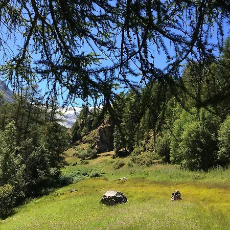 Sunstar Διαμέρισμα