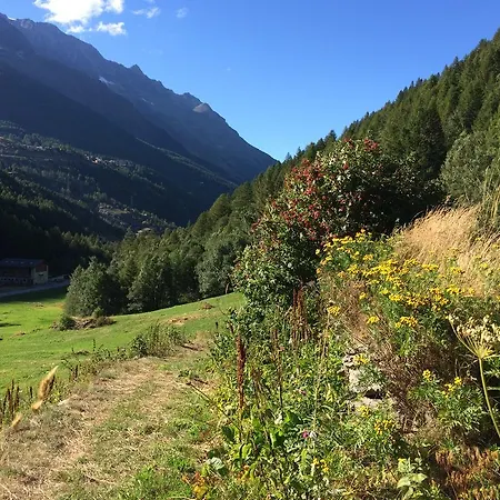 Appartamento Sunstar *