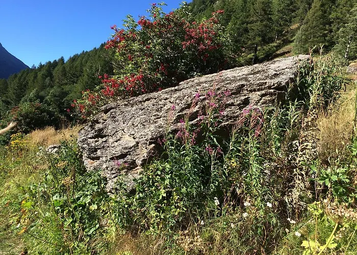 Sunstar Lägenhet Saas-Grund