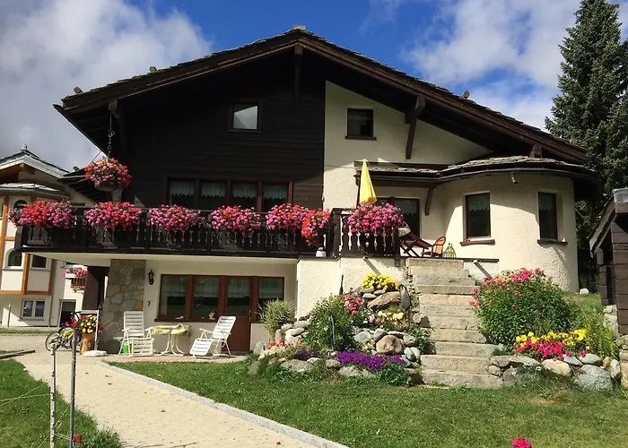 Sunstar *
